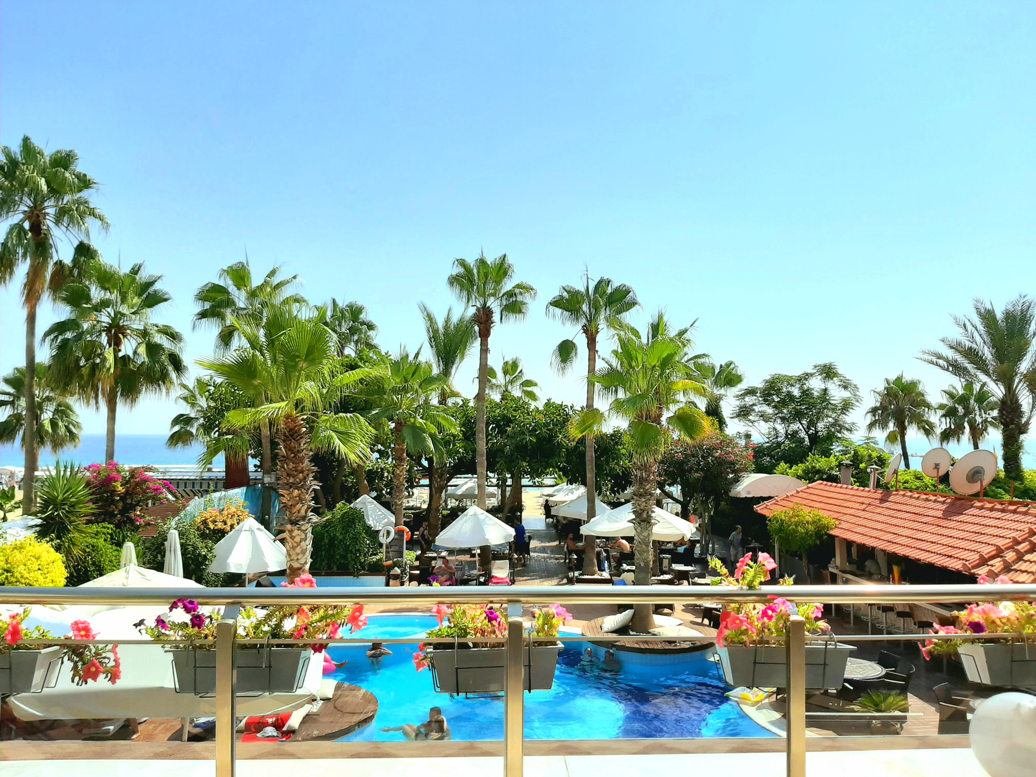 אלאניה Savk Hotel מראה חיצוני תמונה